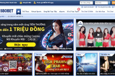 SboBet - Nhà cái cá cược trực tuyến hàng đầu Việt Nam
