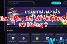 Win365 - Trang review chi tiết nhà cái cá cược uy tín số 1 2022